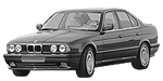 BMW E34 B1966 Fault Code